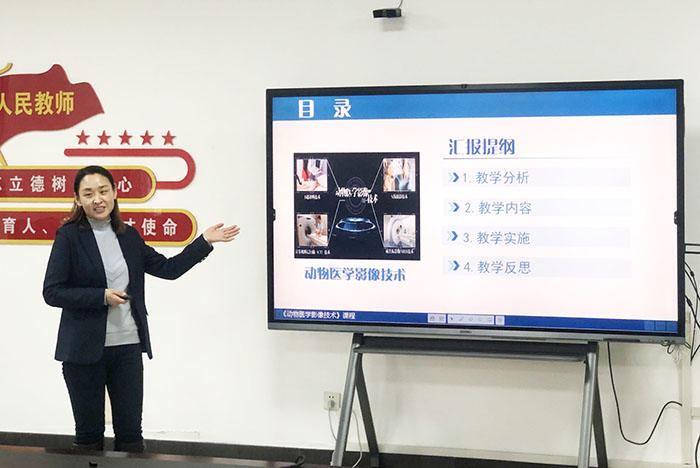 2.参赛老师1.jpg
