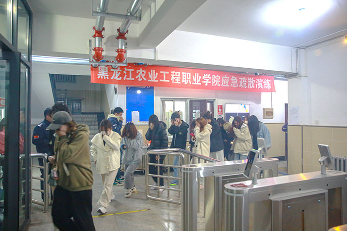 BL1A0330.jpg