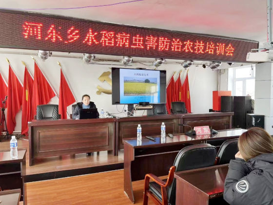 胡志凤特派员新闻853.png