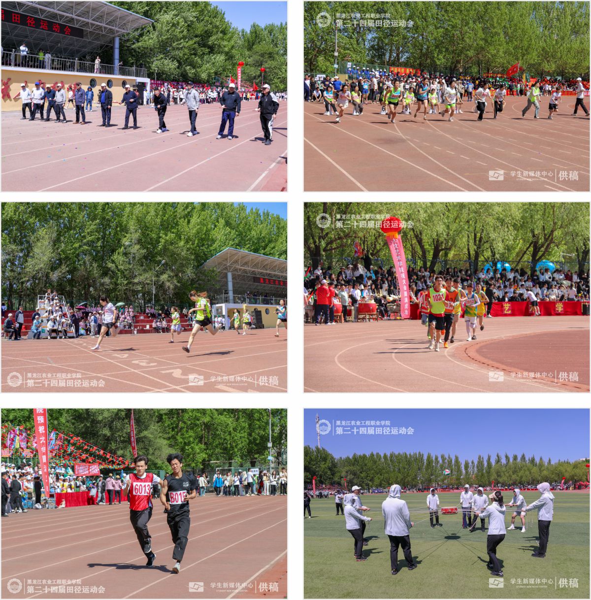 图片分享拼图3.jpg