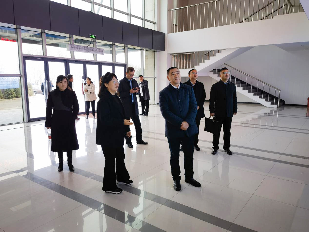 图片1.jpg 图片1.jpg