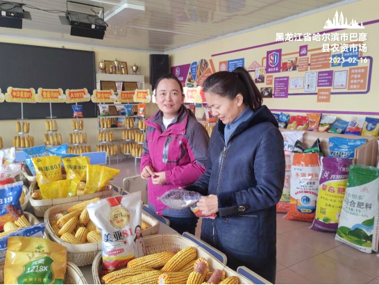 胡志凤特派员新闻872.png