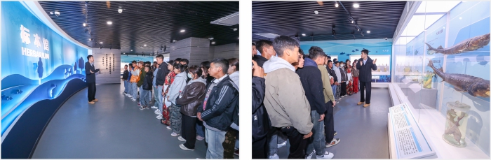 图片分享拼图2.jpg