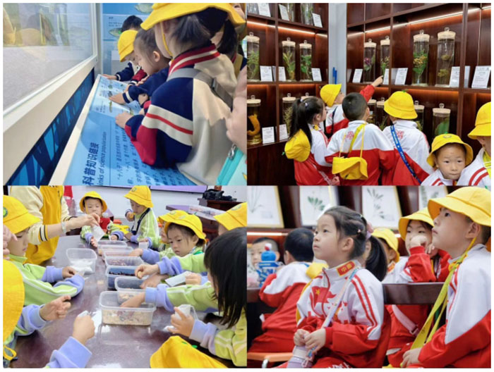 微信截图_20240606092838.png